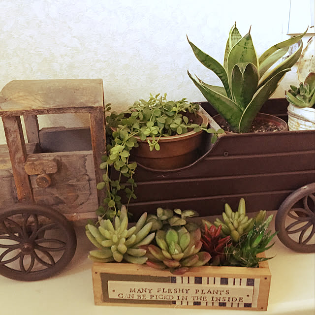 バス/トイレ/カフェ風/観葉植物/フェイクグリーンのインテリア実例 - 2018-09-23 15:15:24