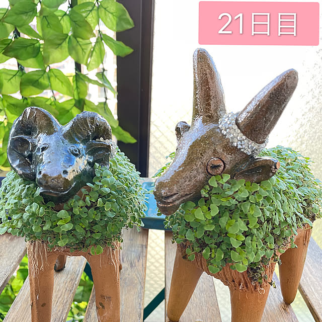 aureaさんの実例写真