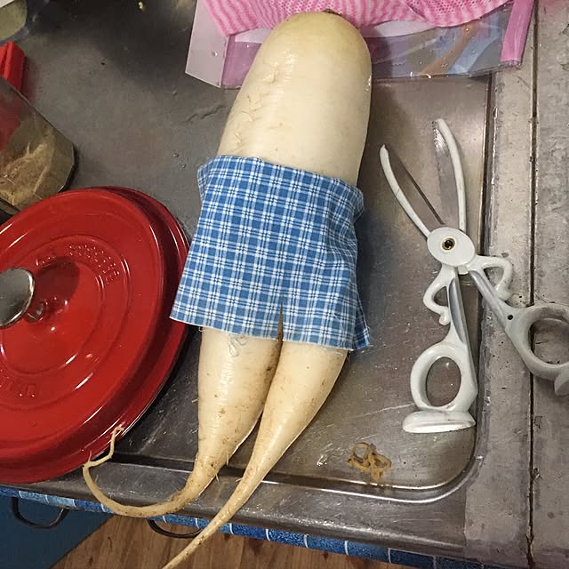 chauさんの実例写真