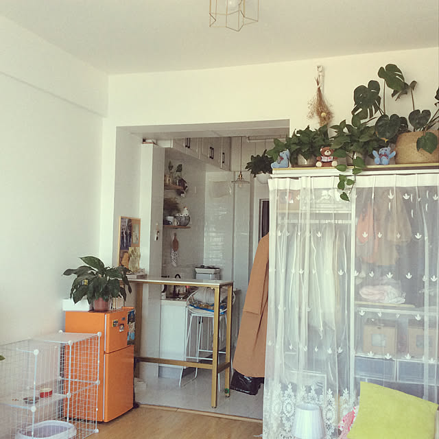 DIY/一人暮らし/観葉植物/雑貨/ナチュラル...などのインテリア実例 - 2021-03-30 14:00:58