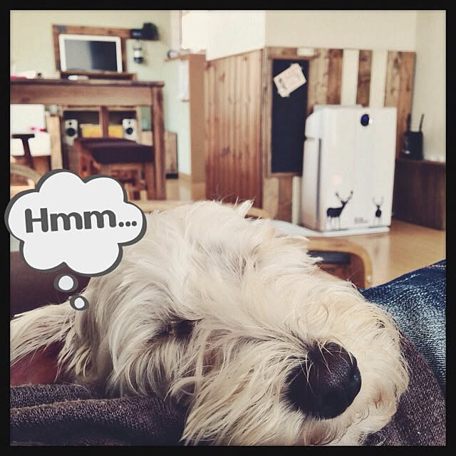 mocoさんの実例写真