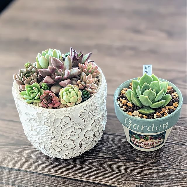 purpureさんの部屋