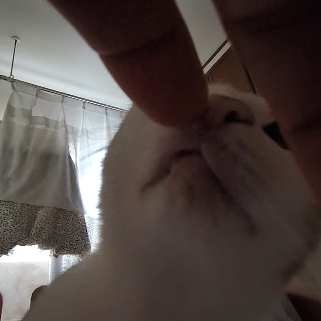 mori_6_12さんの実例写真