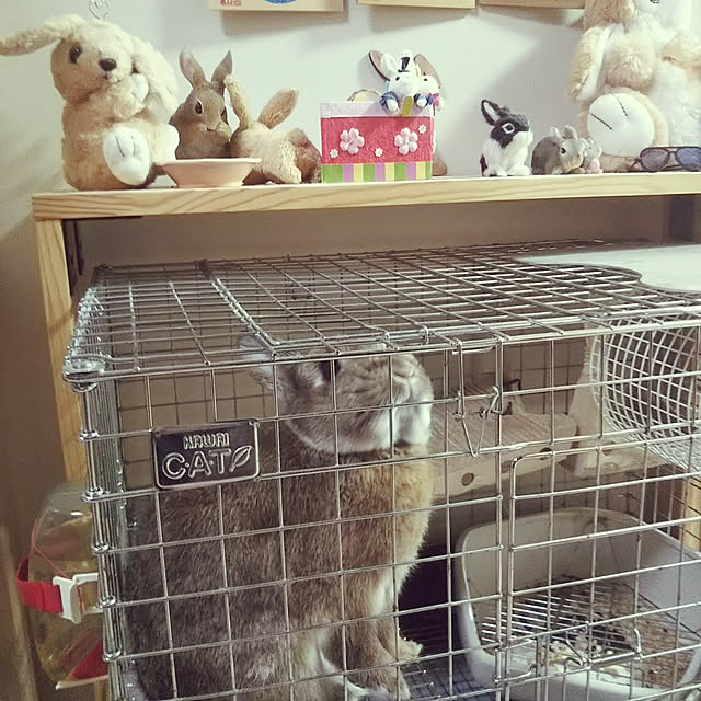 yuzu0223さんの実例写真