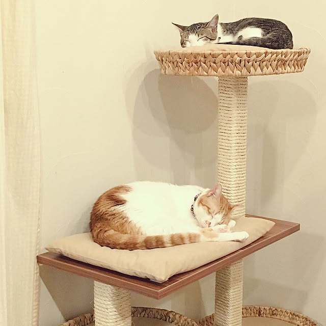 hananoさんの実例写真