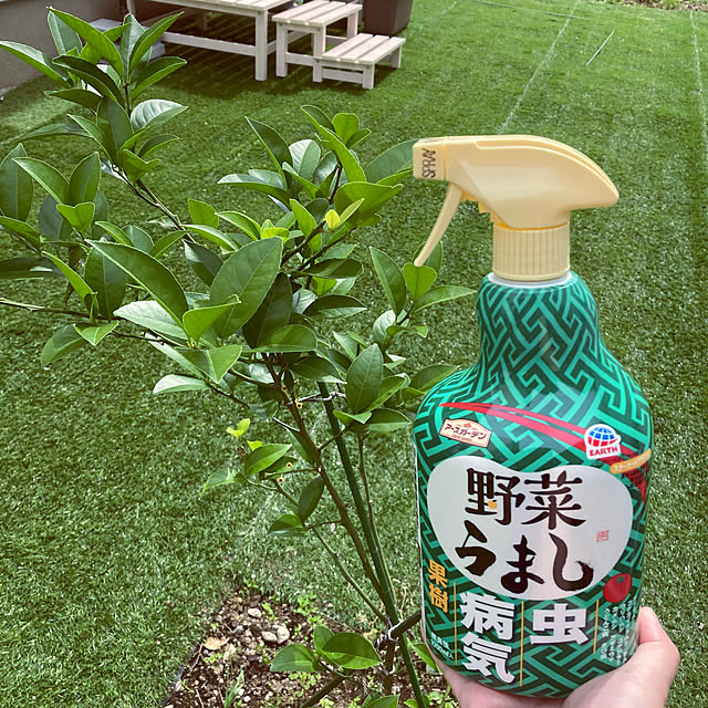 orinさんの実例写真