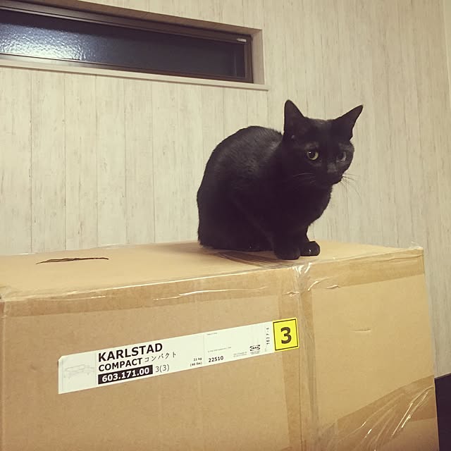 piyoさんの実例写真