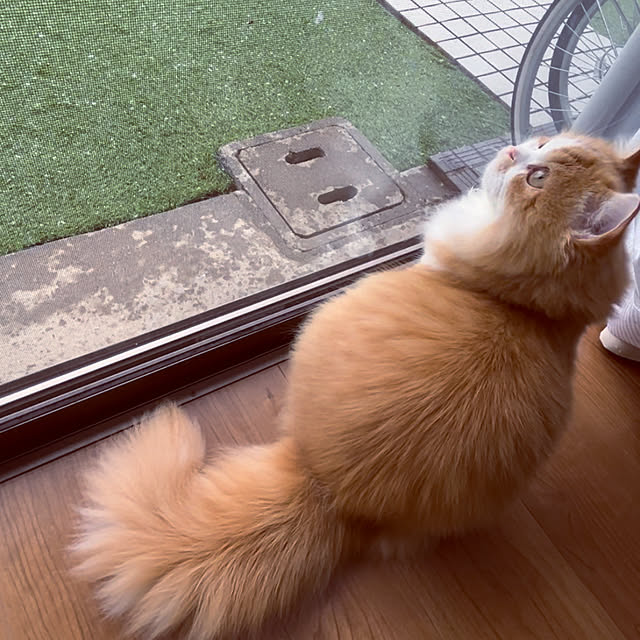 junさんの実例写真