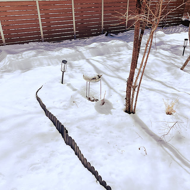 chanduさんの部屋