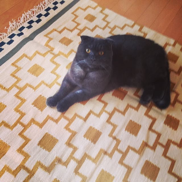 Kanaさんの実例写真