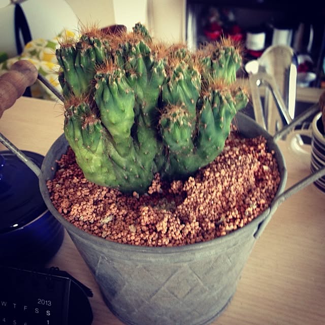 MMさんの実例写真