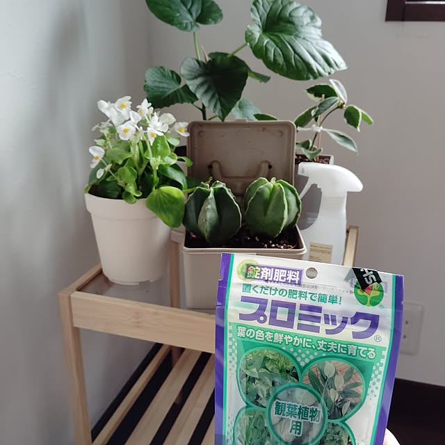 momomamaさんの部屋