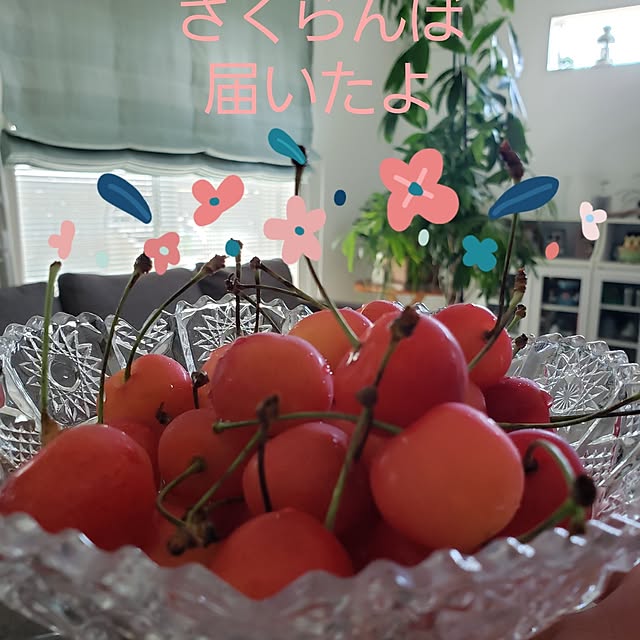 no.18さんの部屋