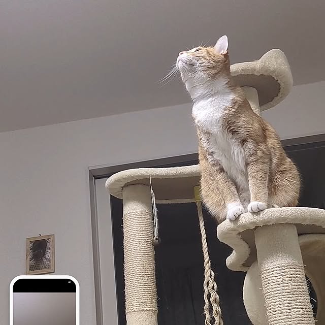 minnieさんの部屋