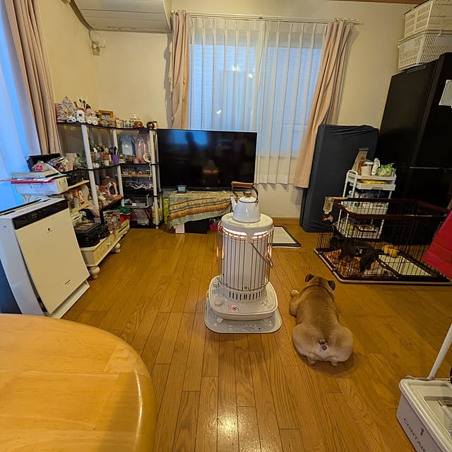 chi_gogaさんの部屋