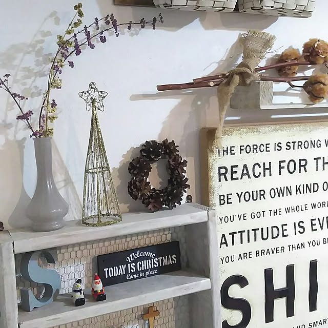 DailyRoomclip