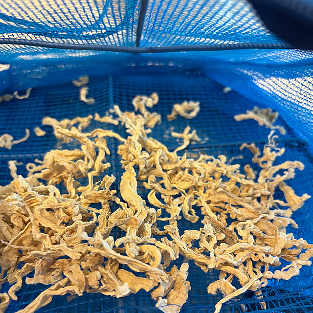 syutmmさんの部屋