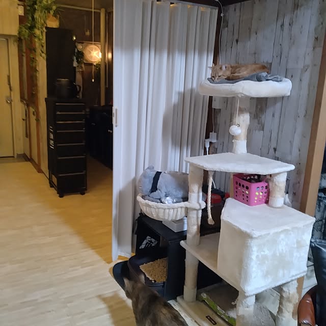 runaさんの部屋