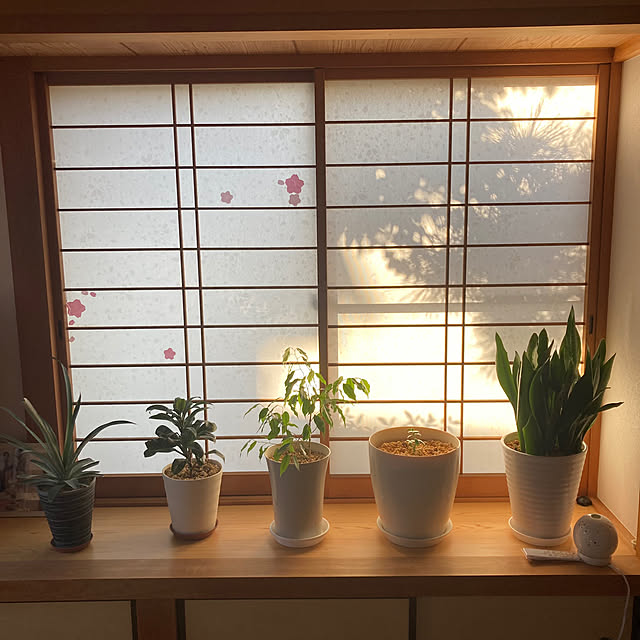 mamaさんの部屋