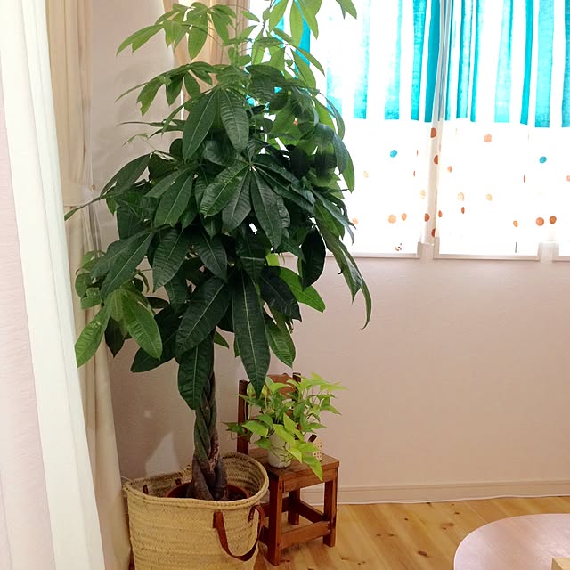 Erinさんの実例写真