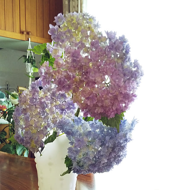 机/紫陽花/てまりてまりのインテリア実例 - 2019-06-13 13:18:02