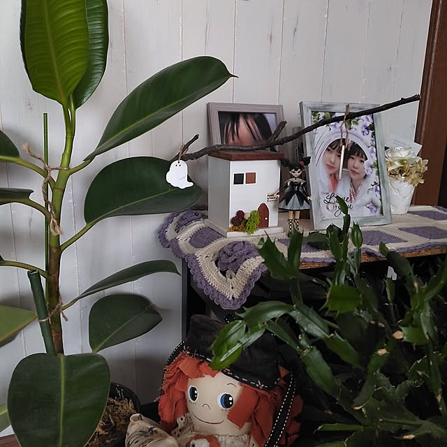 kiraさんの部屋