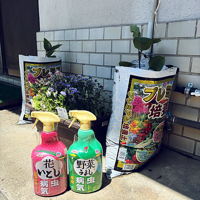 SIELUさんの実例写真