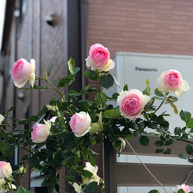 CoffeeHouseさんの実例写真