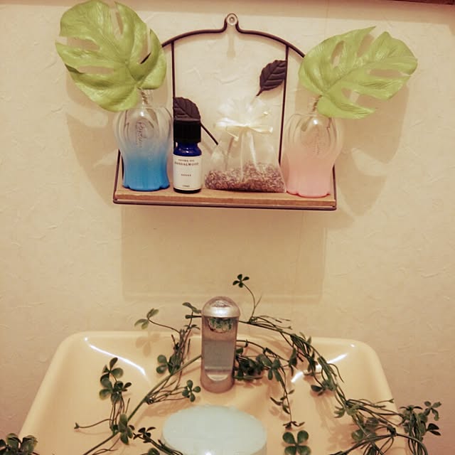 Sakikoさんの実例写真