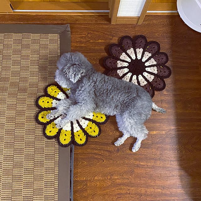 meguko.ryanさんの実例写真
