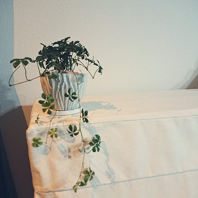 部屋全体/観葉植物/しろが好き/落ち着く空間/ピアノの上のインテリア実例 - 2018-07-31 19:48:14