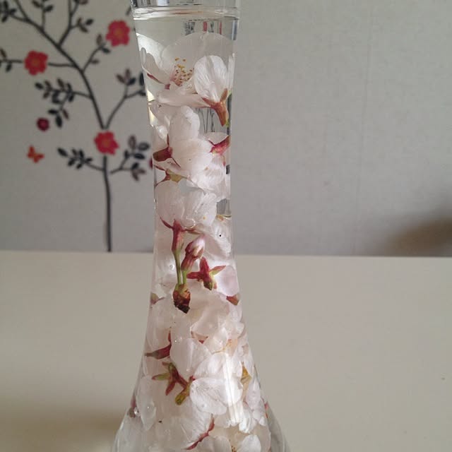tnaito01さんの実例写真
