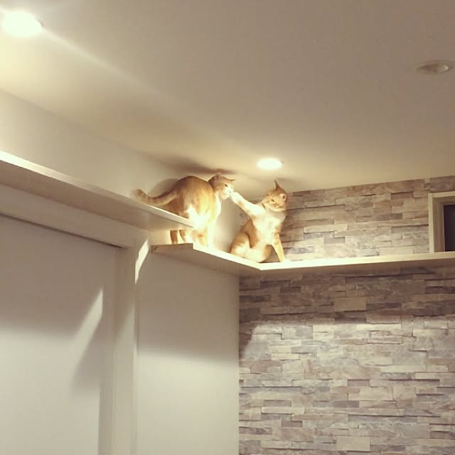 Shuichiさんの実例写真