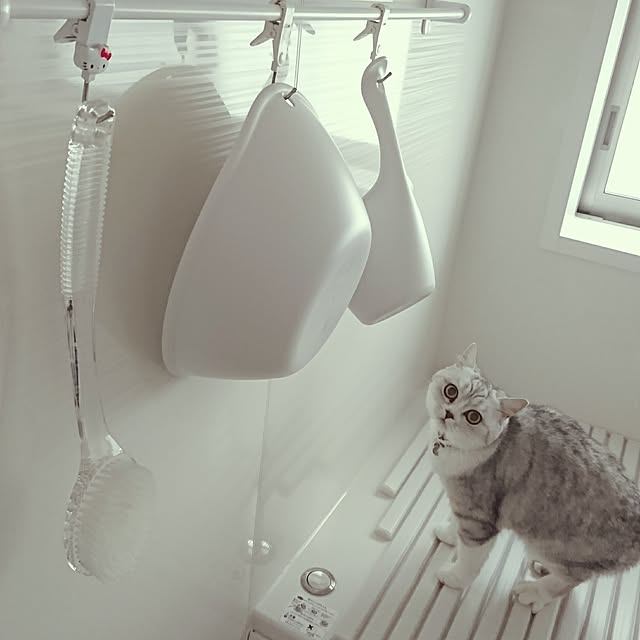nyan5さんの実例写真
