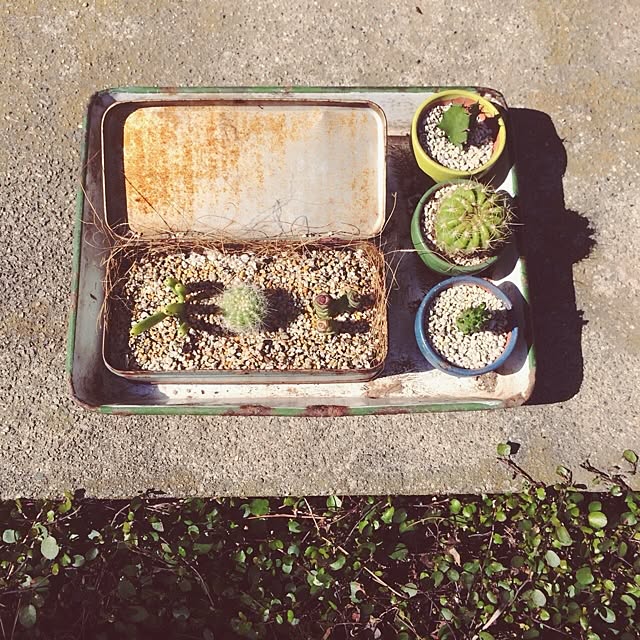 Fellowさんの実例写真