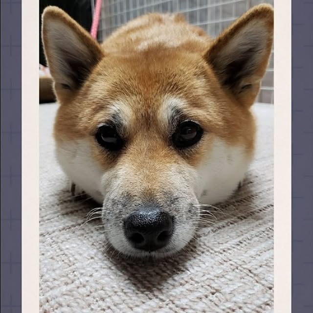 nanaさんの部屋