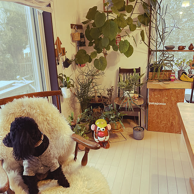 bkさんの実例写真