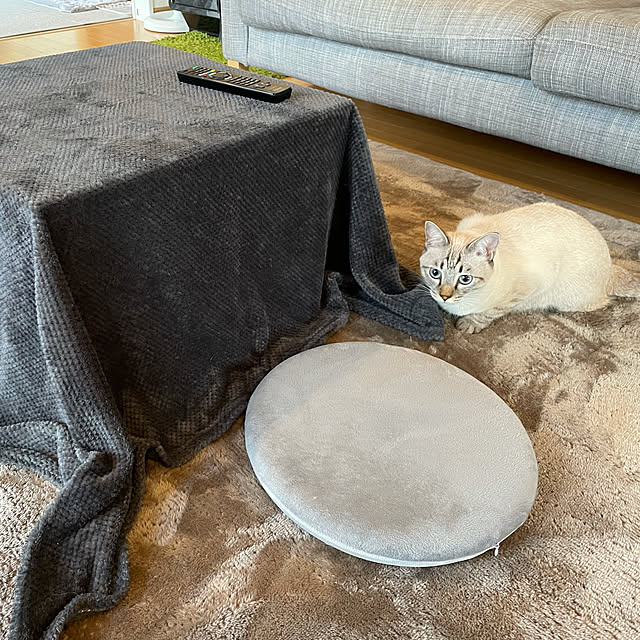 猫用こたつのおすすめ商品とおしゃれな実例 | RoomClip(ルーム 猫用こたつのおすすめ商品とおしゃれな実例 | RoomClip(ルーム