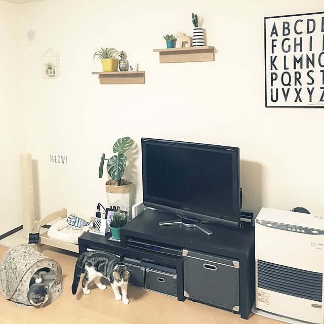 tansukeさんの実例写真