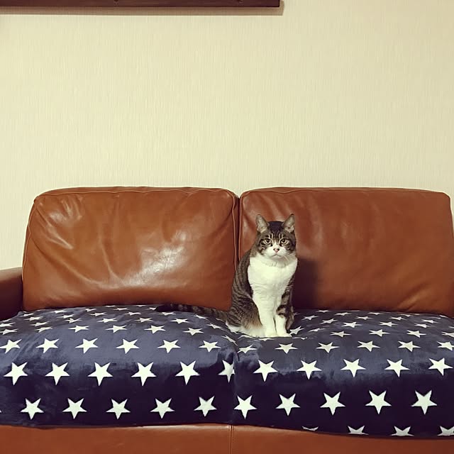 pinokoさんの実例写真