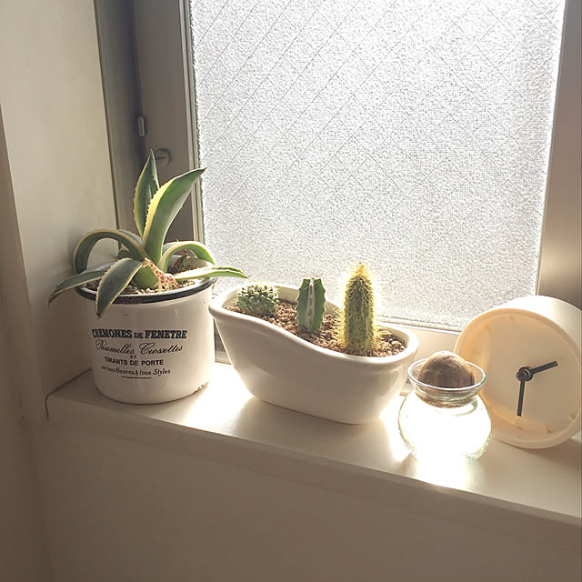 aさんの実例写真