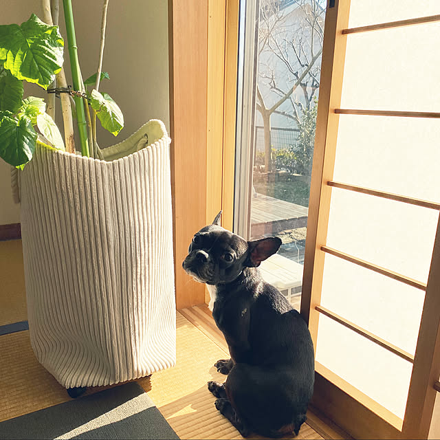 kotaroさんの実例写真