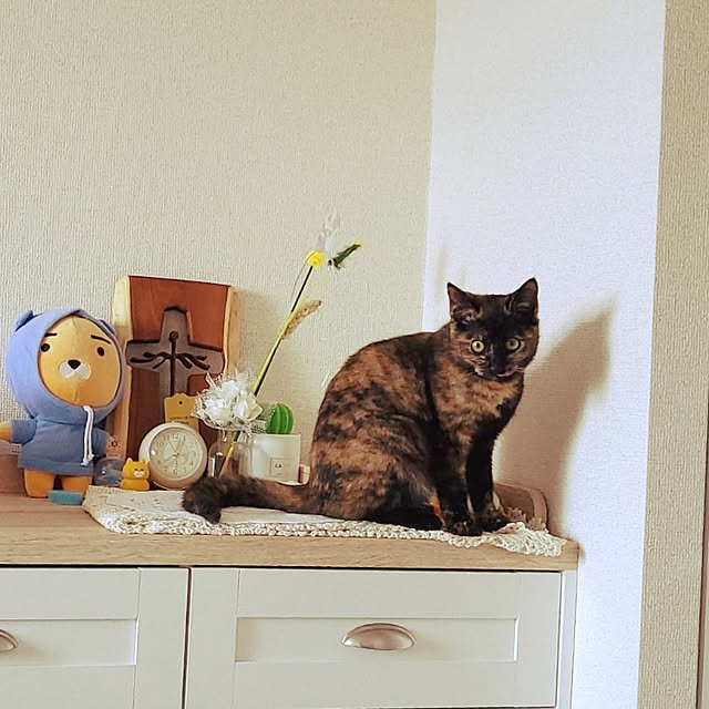 JIHYEさんの実例写真