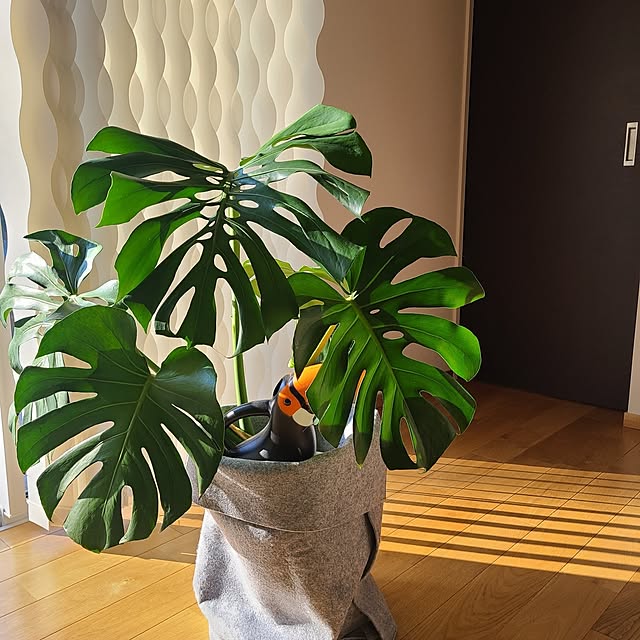 Rubiconさんの部屋