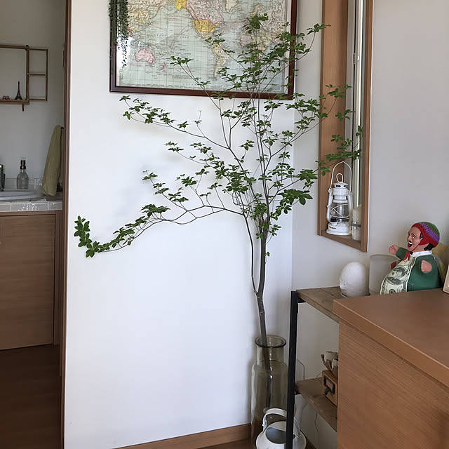 実例写真
