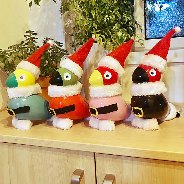 BUNさんの実例写真