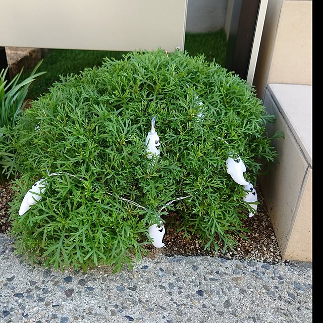 jumkoさんの部屋