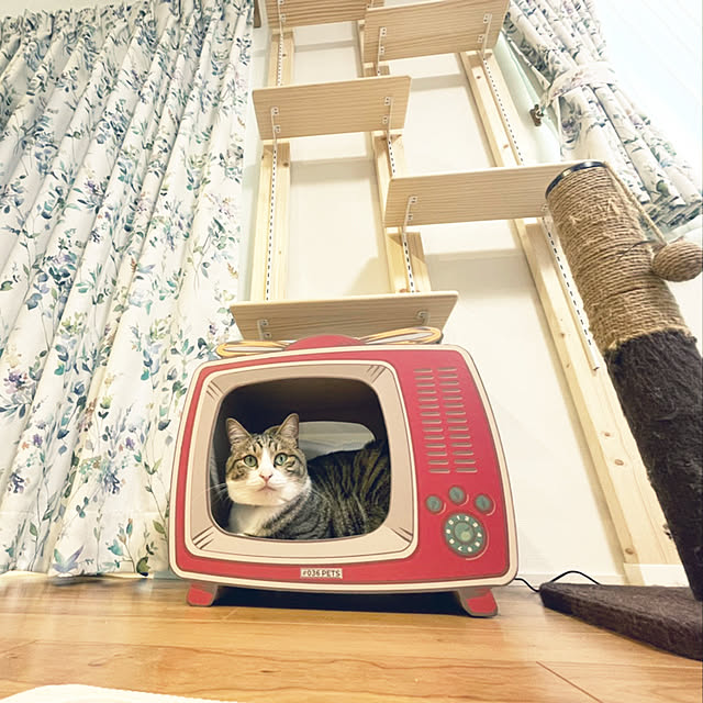 Holさんの実例写真