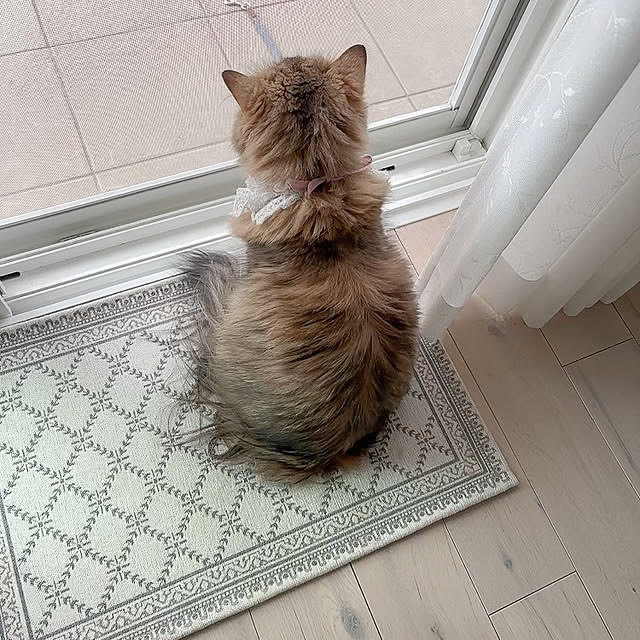 miyu39さんの部屋