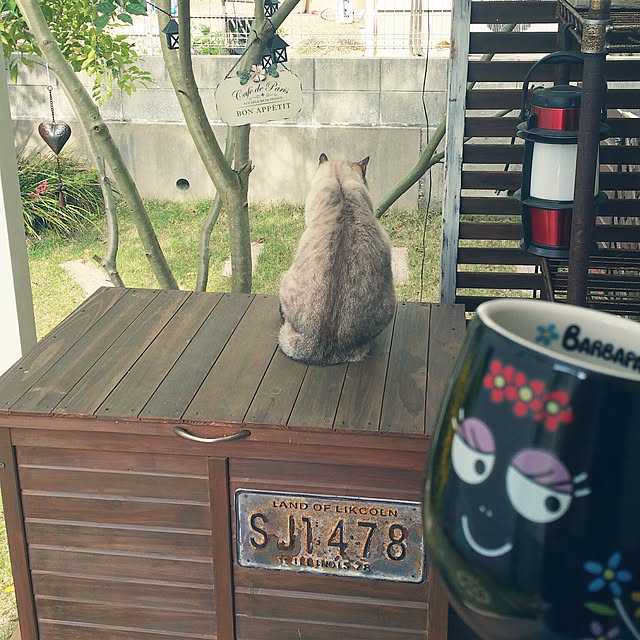 tomoppさんの実例写真